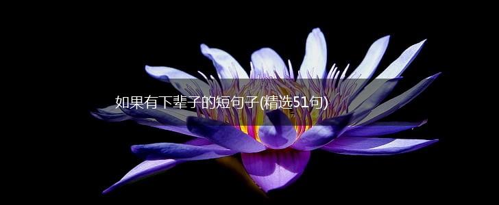 如果有下辈子的短句子(精选51句),第1张