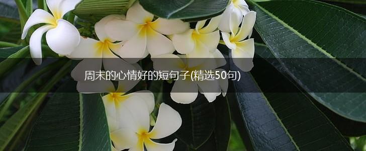 周末的心情好的短句子(精选50句),第1张