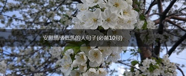 安慰情绪低落的人句子(必备10句),第1张