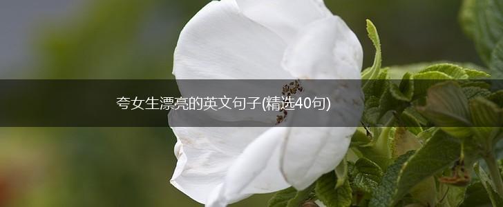 夸女生漂亮的英文句子(精选40句),第1张