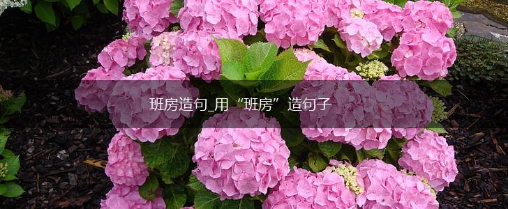 班房造句_用“班房”造句子,第1张