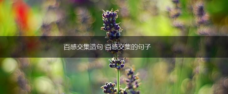 百感交集造句 百感交集的句子,第1张
