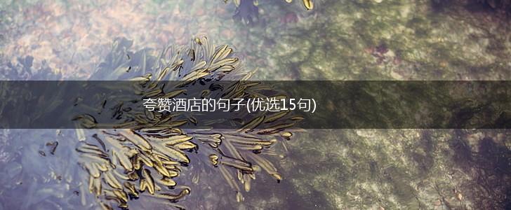 夸赞酒店的句子(优选15句),第1张