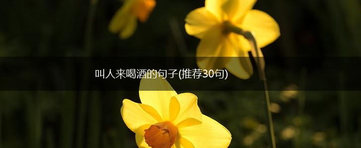 叫人来喝酒的句子(推荐30句),第1张