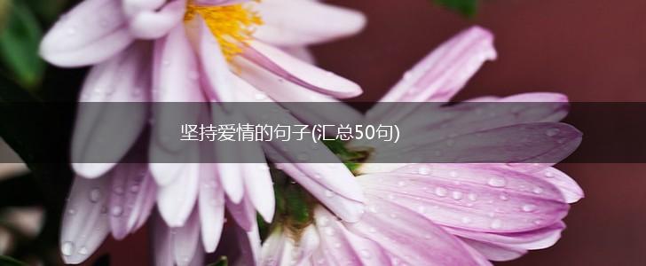 坚持爱情的句子(汇总50句),第1张