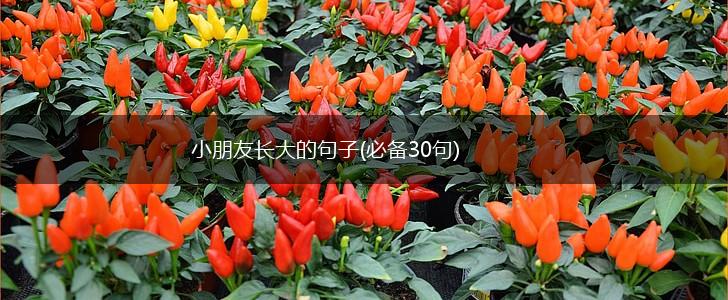 小朋友长大的句子(必备30句),第1张