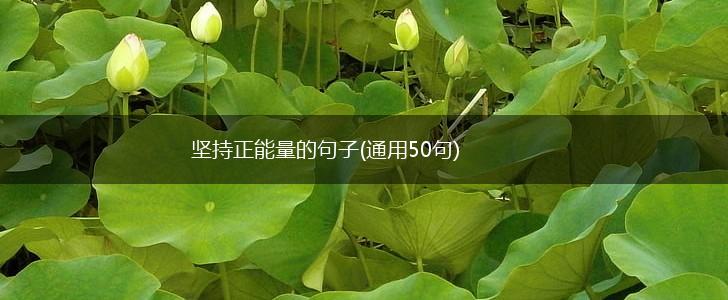 坚持正能量的句子(通用50句),第1张