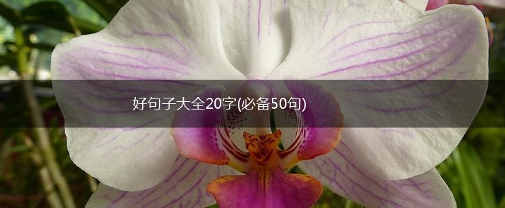 好句子大全20字(必备50句),第1张