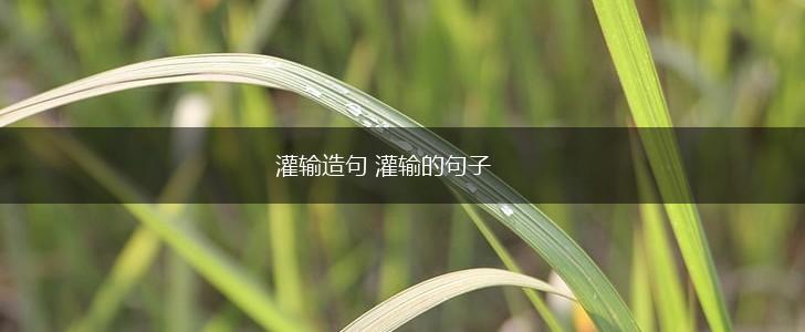 灌输造句 灌输的句子,第1张