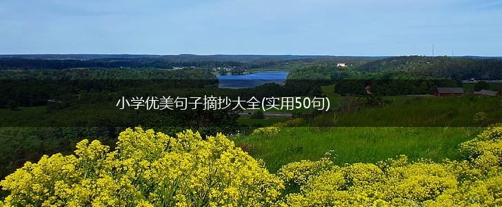 小学优美句子摘抄大全(实用50句),第1张