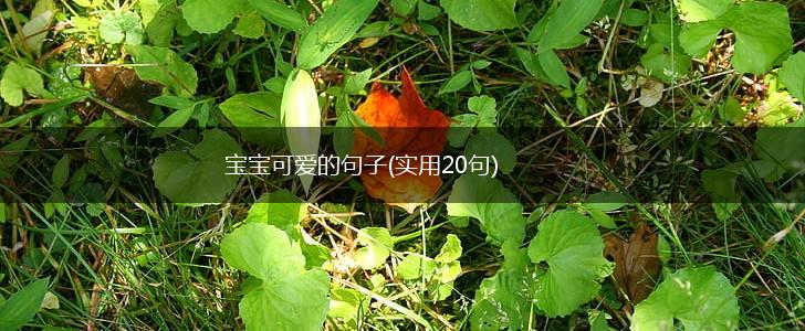 宝宝可爱的句子(实用20句),第1张