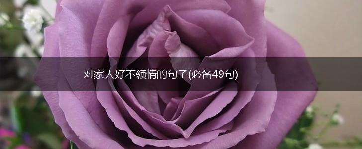 对家人好不领情的句子(必备49句),第1张