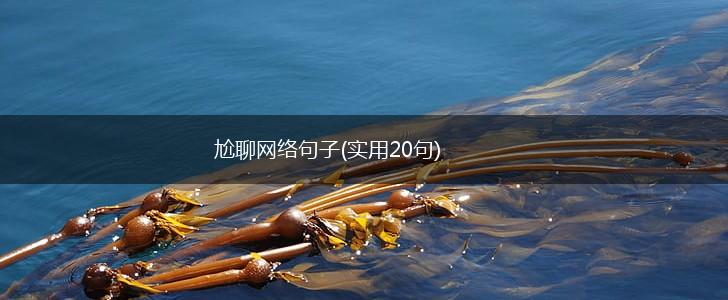 尬聊网络句子(实用20句),第1张