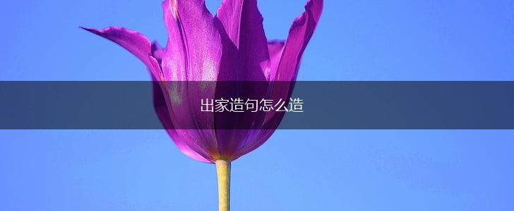 出家造句怎么造,第1张