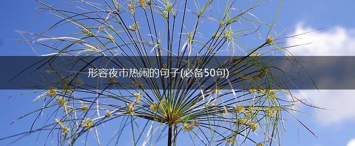 形容夜市热闹的句子(必备50句),第1张