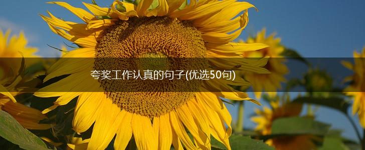 夸奖工作认真的句子(优选50句),第1张