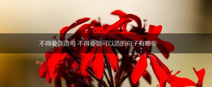 不得要领造句 不得要领可以造的句子有哪些,第1张