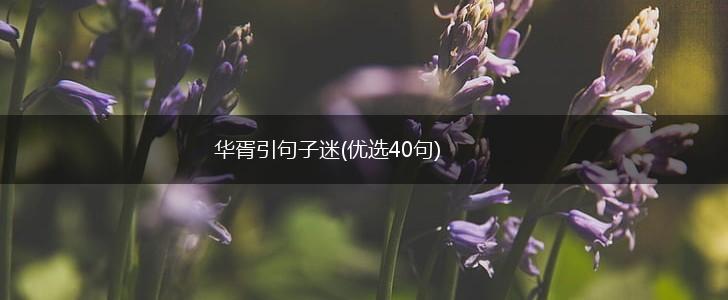 华胥引句子迷(优选40句),第1张
