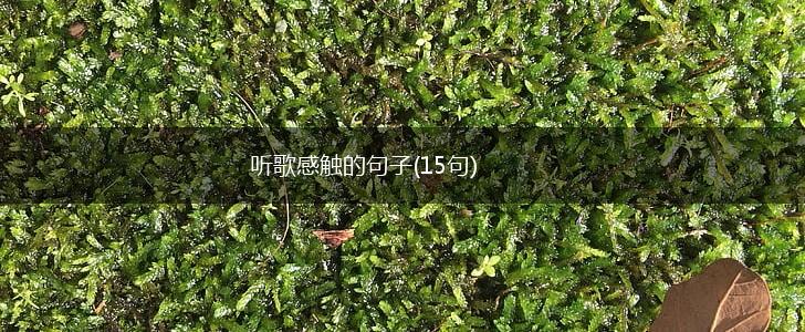 听歌感触的句子(15句),第1张
