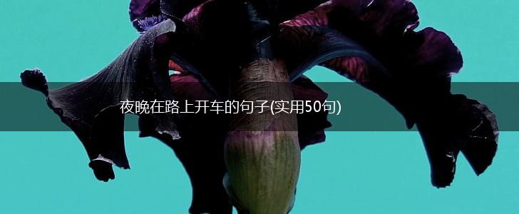 夜晚在路上开车的句子(实用50句),第1张