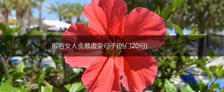 形容女人贪慕虚荣句子(热门20句),第1张
