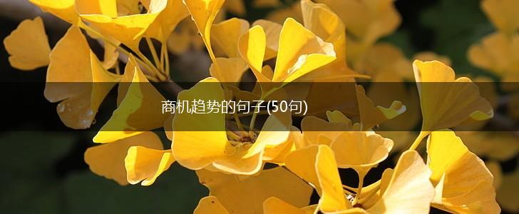 商机趋势的句子(50句),第1张