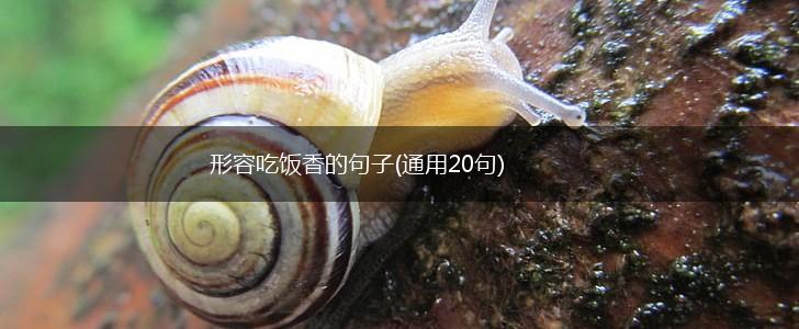 形容吃饭香的句子(通用20句),第1张