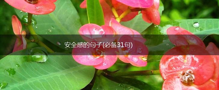 安全感的句子(必备31句),第1张