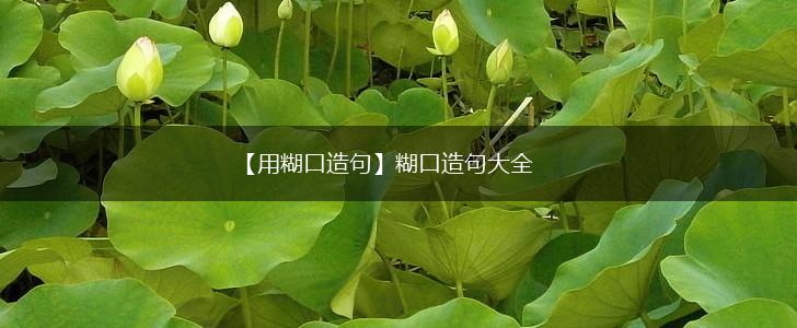 【用糊口造句】糊口造句大全,第1张