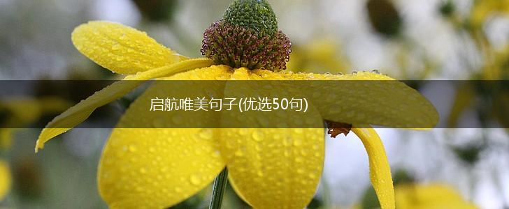 启航唯美句子(优选50句),第1张
