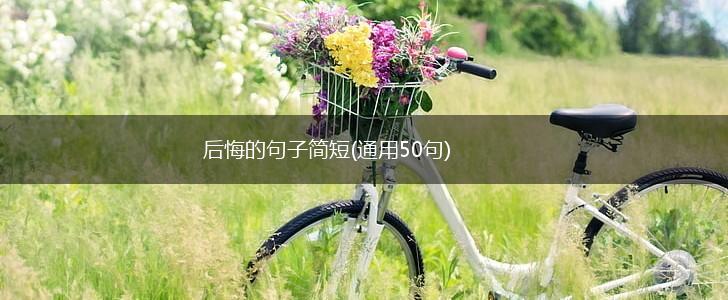 后悔的句子简短(通用50句),第1张