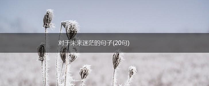 对于未来迷茫的句子(20句),第1张