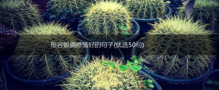 形容娘俩感情好的句子(优选50句),第1张