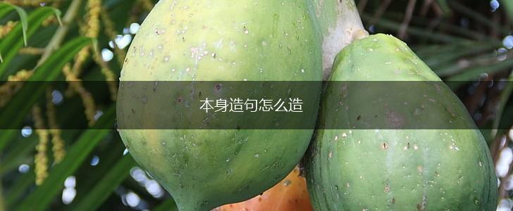 本身造句怎么造,第1张