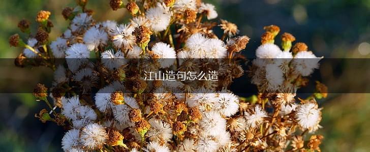 江山造句怎么造,第1张