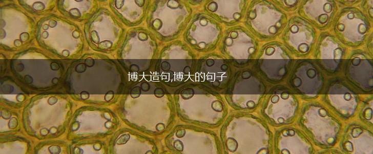 博大造句,博大的句子,第1张