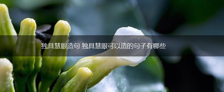 独具慧眼造句 独具慧眼可以造的句子有哪些,第1张