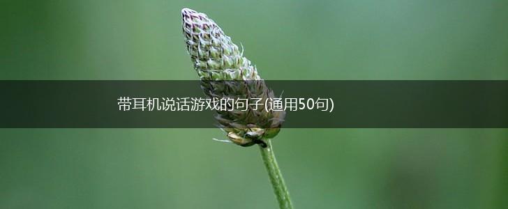 带耳机说话游戏的句子(通用50句),第1张