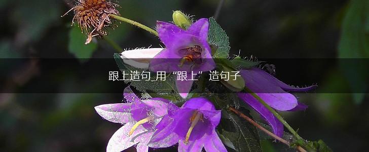 跟上造句_用“跟上”造句子,第1张