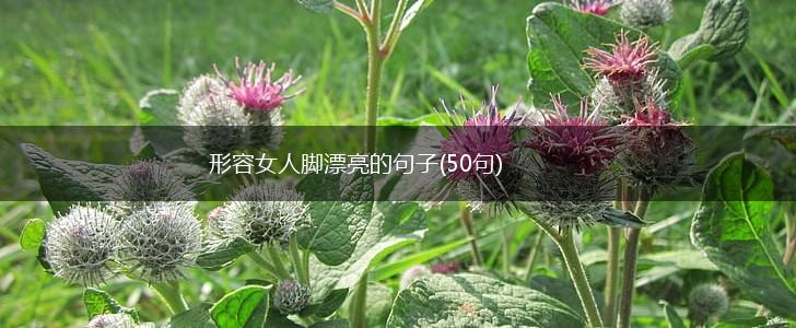 形容女人脚漂亮的句子(50句),第1张