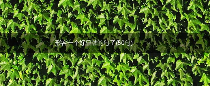 形容一个好品牌的句子(50句),第1张