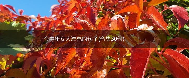 夸中年女人漂亮的句子(合集30句),第1张