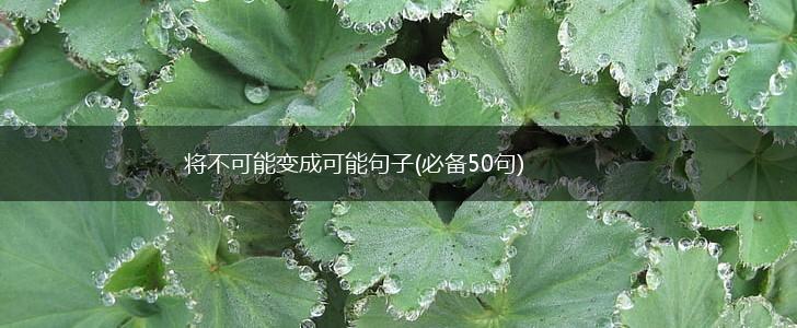 将不可能变成可能句子(必备50句),第1张
