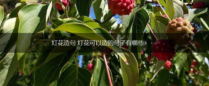 灯花造句 灯花可以造的句子有哪些,第1张