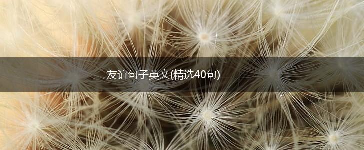 友谊句子英文(精选40句),第1张