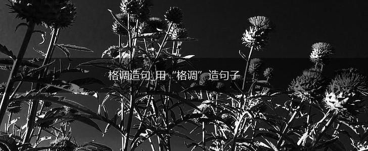 格调造句_用“格调”造句子,第1张