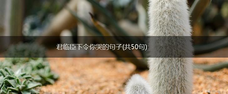 君临臣下令你哭的句子(共50句),第1张