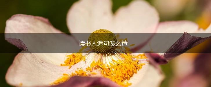 读书人造句怎么造,第1张