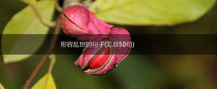 形容乱世的句子(汇总50句),第1张