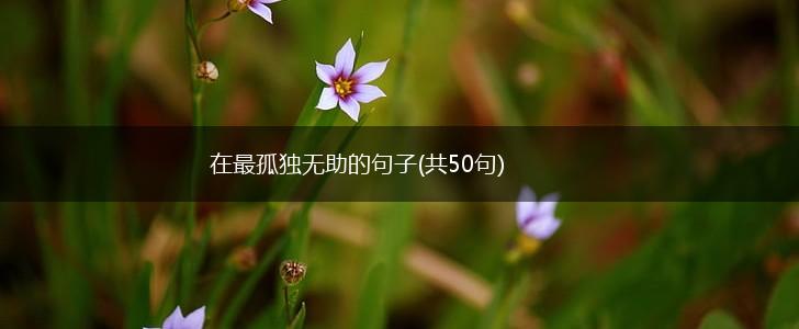 在最孤独无助的句子(共50句),第1张